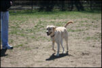 IMG_7941.jpg