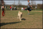 IMG_3858.jpg
