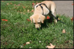 IMG_2268.jpg