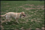 IMG_4655.jpg