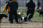 IMG_7969.jpg