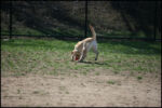IMG_7923.jpg