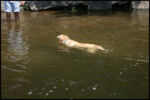 IMG_5128.jpg
