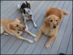 DSCN2498.jpg