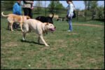 IMG_4413.jpg