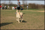 IMG_3859.jpg