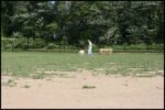 IMG_4561.jpg