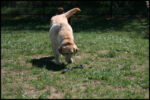 IMG_4432.jpg