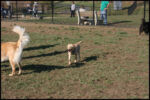 IMG_2787.jpg
