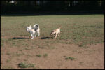IMG_2609.jpg