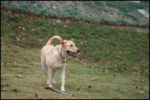IMG_7282.jpg
