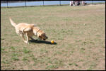 IMG_3798.jpg