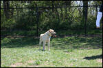 IMG_4428.jpg