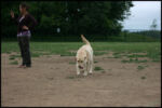 IMG_4642.jpg