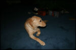 IMG_3280.jpg