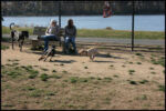 IMG_2684.jpg