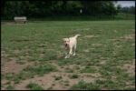 IMG_4659.jpg