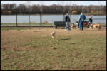 IMG_2958.jpg