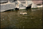 IMG_4893.jpg