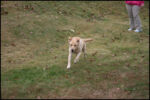 IMG_7331.jpg