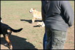 IMG_2622.jpg