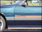 PB220061.jpg