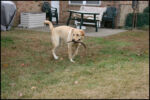 IMG_7290.jpg
