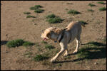 IMG_2833.jpg
