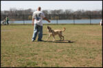 IMG_3796.jpg