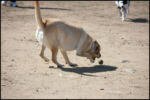 IMG_7944.jpg