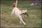 IMG_7246.jpg