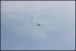 IMG_5636.jpg