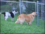 DSCN2470.jpg
