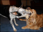 DSCN2538.jpg