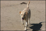 IMG_7965.jpg