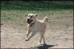 IMG_7988.jpg