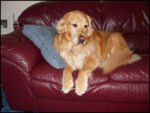 DSCN2513.jpg