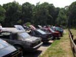 Fox-a-Que2010050.jpg