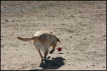 IMG_8014.jpg
