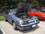 Fox-a-Que2010039.jpg