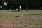 IMG_2786.jpg