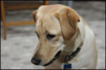 img_8435.jpg