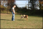 IMG_3034.jpg