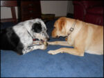 DSCN2515.jpg