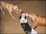 DSCN2455.jpg