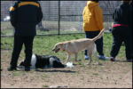 IMG_7972.jpg