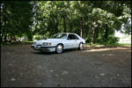 1986-mustang-svo-img_8560.jpg
