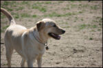 IMG_7942.jpg