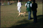 IMG_2806.jpg