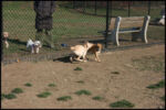 IMG_2591.jpg